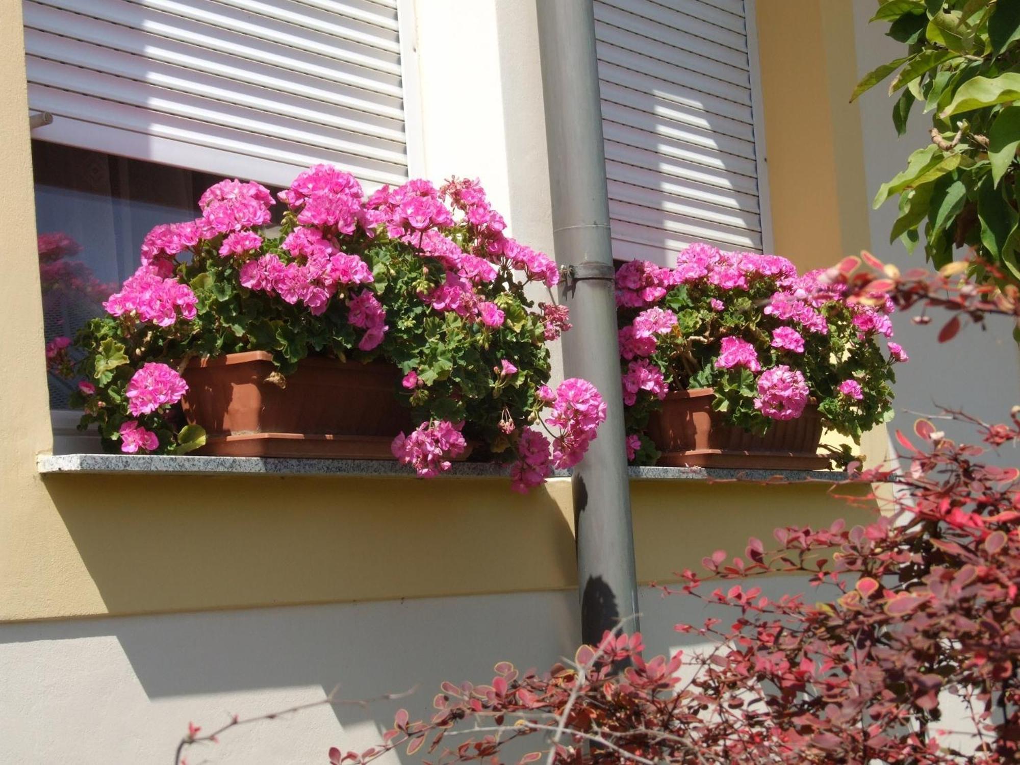 Apartment Revesz Harkan Exterior foto